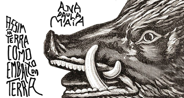 Sobre o novo romance de Ana Paula Maia