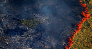 fogo na amazonia Bruno Kelly-Reuters