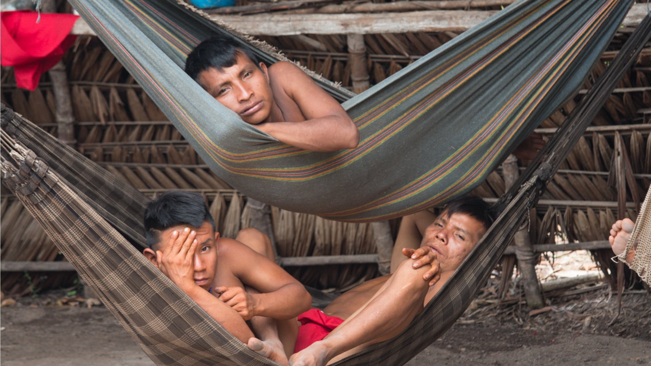 Estante Cult | Mito e sonho entre os Yanomami